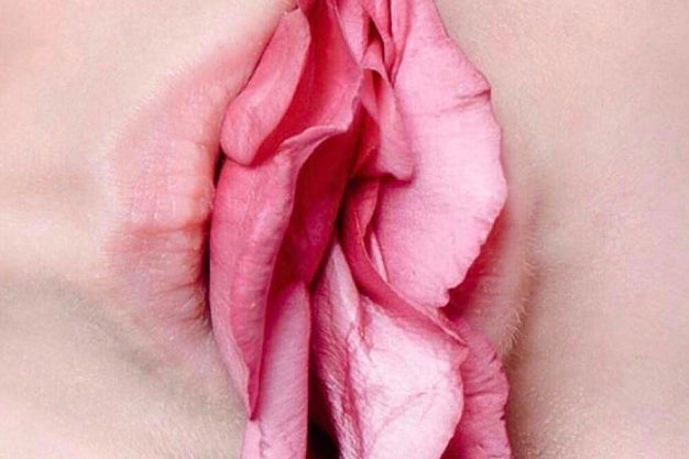 ¿Sabías que existen diferentes tipos de vulvas?